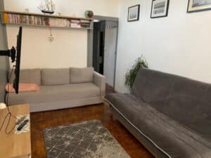 Salon moderne avec canapé-lit gris, étagère de livres et maquette de bateau. TV murale, plante verte, et tapis à motifs sur parquet.
