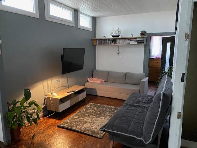 Salon moderne avec murs gris, canapé-lit gris, TV murale au-dessus d'un meuble TV en bois, et grande plante verte. Étagère de livres.